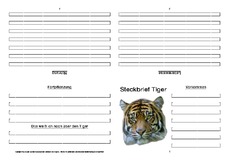 Tiger-Faltbuch-vierseitig-7.pdf